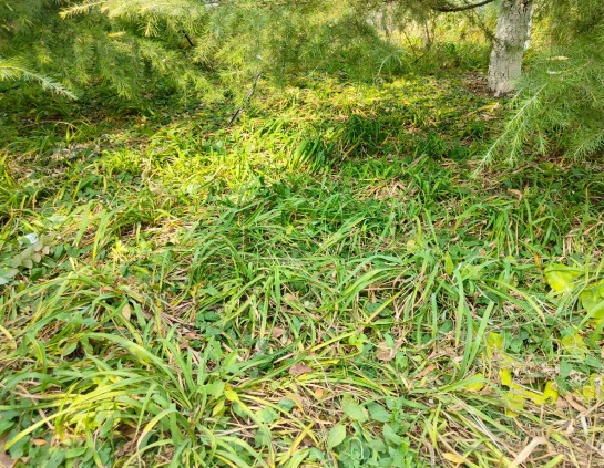 注册送体验金