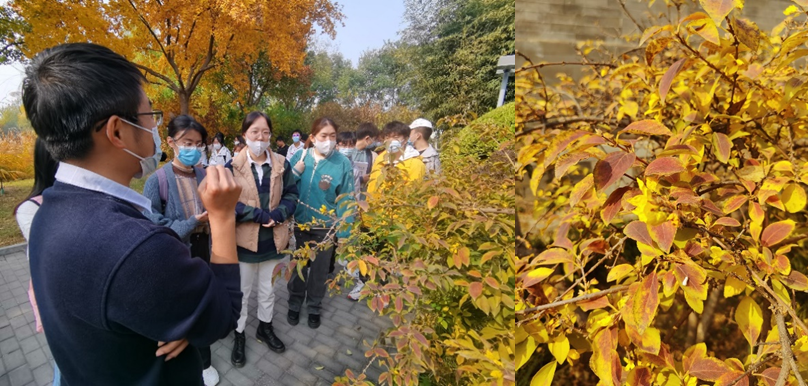 注册送体验金