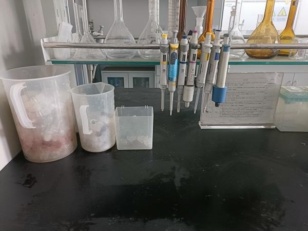 注册送体验金