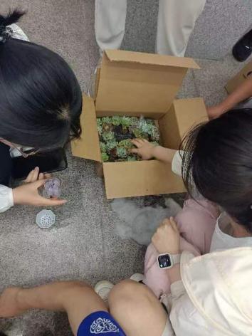 注册送体验金